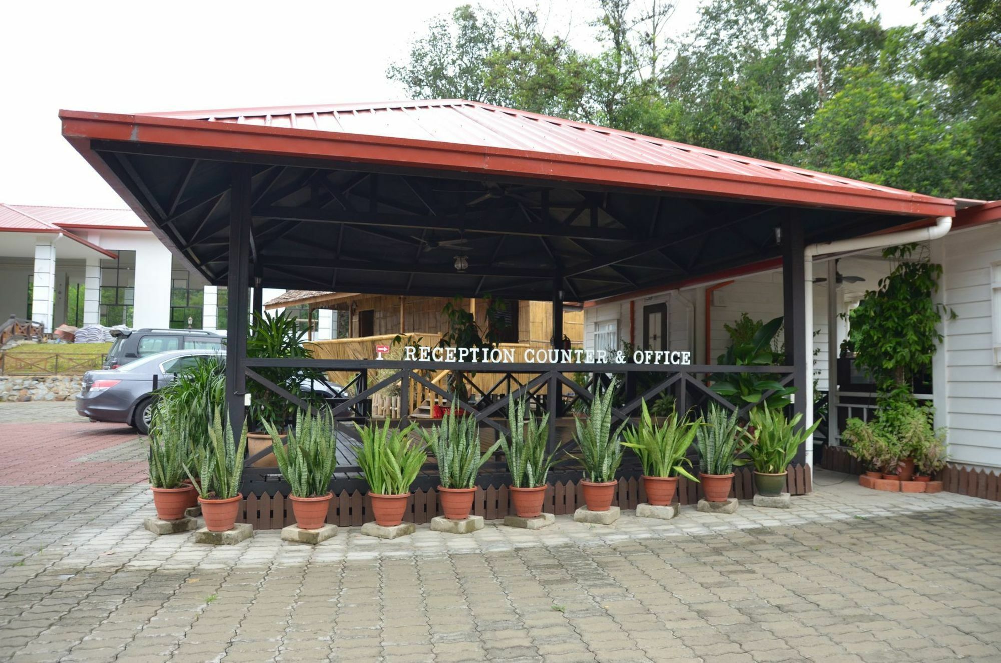 Borneo Tree House Hotel Kota Kinabalu Ngoại thất bức ảnh